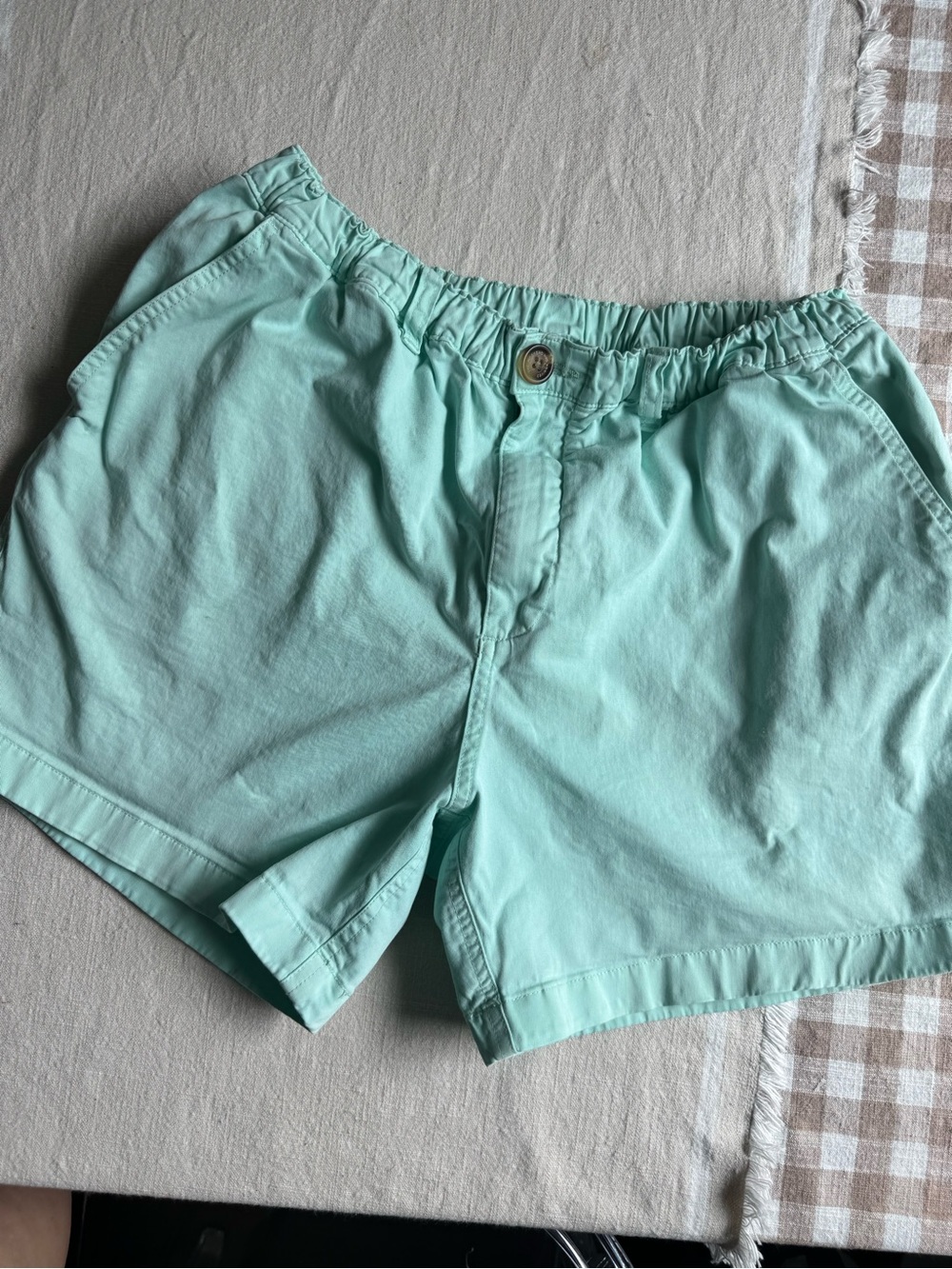 chubbies Mint Green Elastic-Waist Casual Shorts